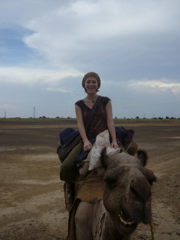 Travel - India - Rajasthan - Desert Camel Trip - Camel Safari